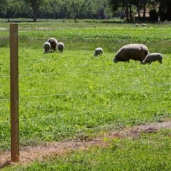 Gallagher Gealuminiseerd Draad Ht 1,6mm 8 Gallagher Gealuminiseerd Draad Ht 1,6mm -Silky || KWB || Spax Verkoop 004195 4 GALLAGHER