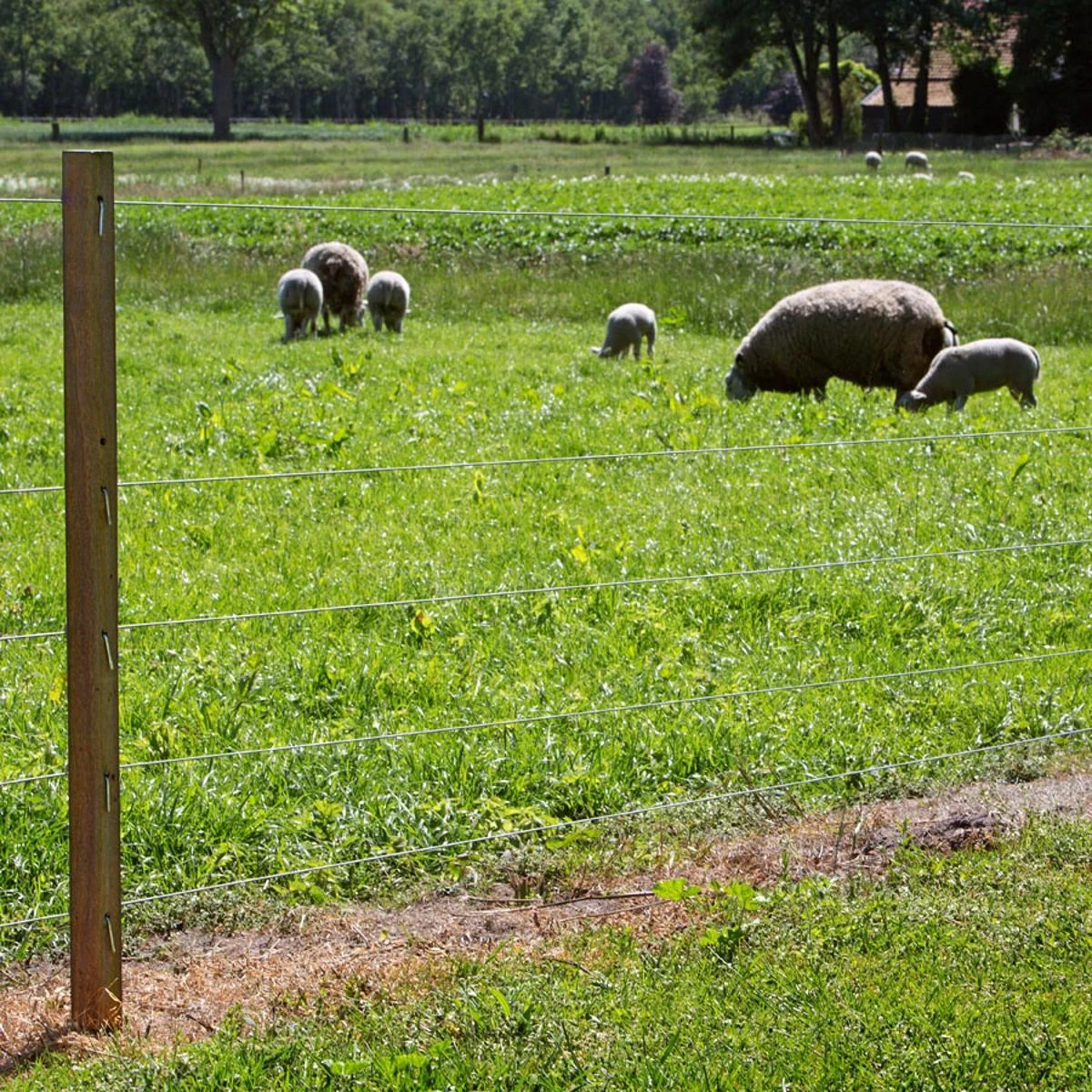 Gallagher Gealuminiseerd Draad Ht 1,6mm 4 Gallagher Gealuminiseerd Draad Ht 1,6mm - Afbeelding 4