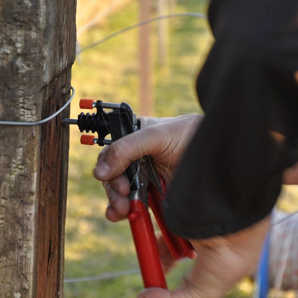 Gallagher Gallagher Tang 3 Gallagher Gallagher Tang - Afbeelding 3