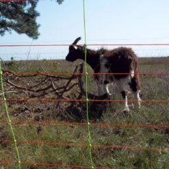 Gallagher Combinet, Oranje 90/1 - 14/g -Silky || KWB || Spax Verkoop 010356 4 GALLAGHER