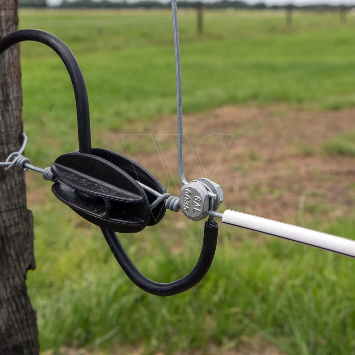 Gallagher Draadklem Rond (10) 3 Gallagher Draadklem Rond (10) - Afbeelding 3