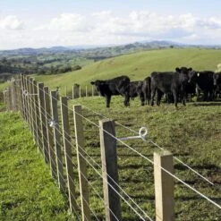 Gallagher Afstandisolator Krulstaart Wit 6 Gallagher Afstandisolator Krulstaart Wit -Silky || KWB || Spax Verkoop 010981 3 GALLAGHER