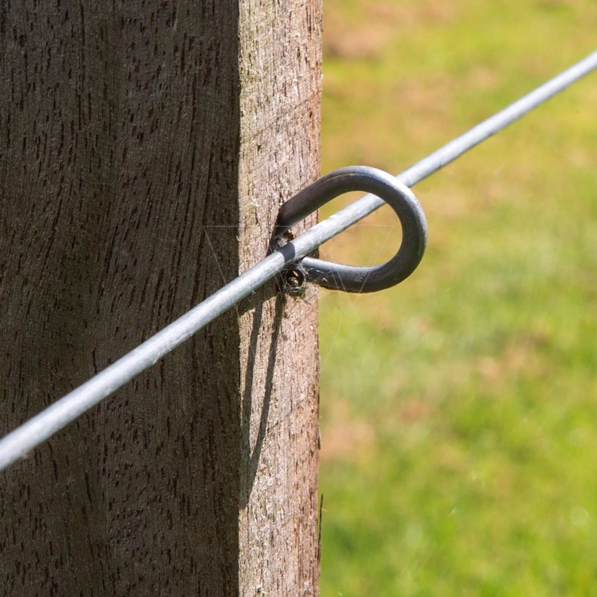 Gallagher Bevestigingsdraadje Lang (50) 2 Gallagher Bevestigingsdraadje Lang (50) - Afbeelding 2