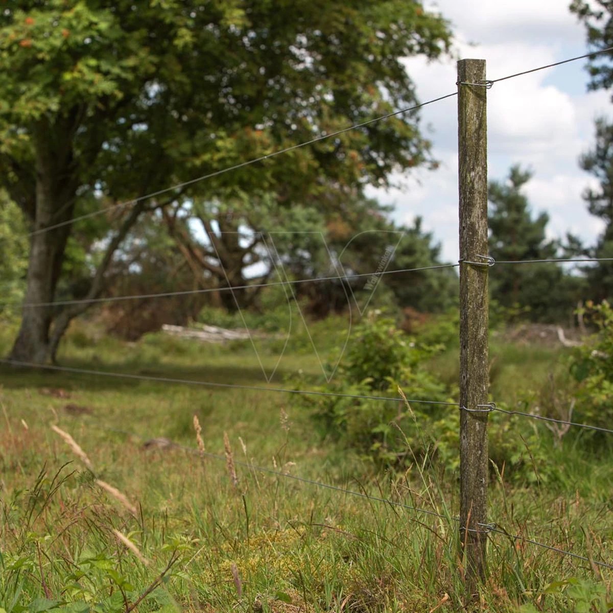 Gallagher Bevestigingsdraadje Lang (50) 3 Gallagher Bevestigingsdraadje Lang (50) - Afbeelding 3