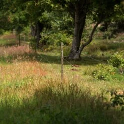 Gallagher Bevestigingsdraadje Lang (50) 8 Gallagher Bevestigingsdraadje Lang (50) -Silky || KWB || Spax Verkoop 011063 4 GALLAGHER