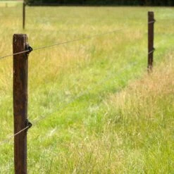 Gallagher W-isolator Zwart, Super (175) -Silky || KWB || Spax Verkoop 021055 3 GALLAGHER