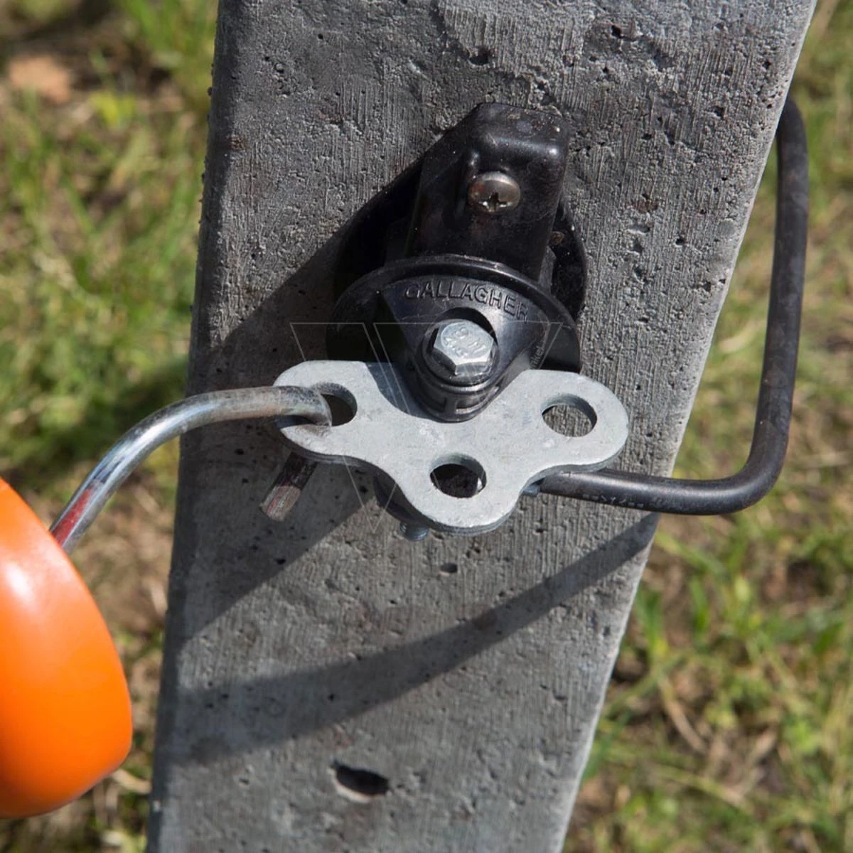 Gallagher Drieweg Poortgreepanker (4) 3 Gallagher Drieweg Poortgreepanker (4) - Afbeelding 3