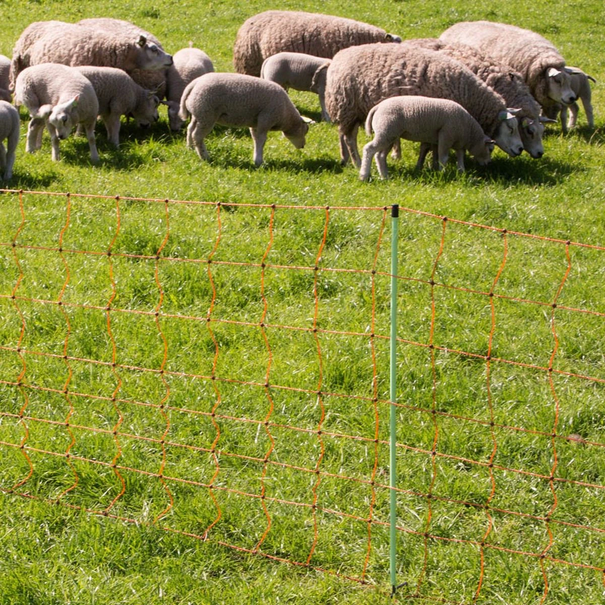 Gallagher Schapennet, Oranje 90/1 - 14/g 2 Gallagher Schapennet, Oranje 90/1 - 14/g - Afbeelding 2