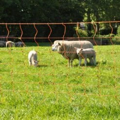 Gallagher Schapennet, Oranje 90/1 - 14/g 15 Gallagher Schapennet, Oranje 90/1 - 14/g -Silky || KWB || Spax Verkoop 022106 9 GALLAGHER