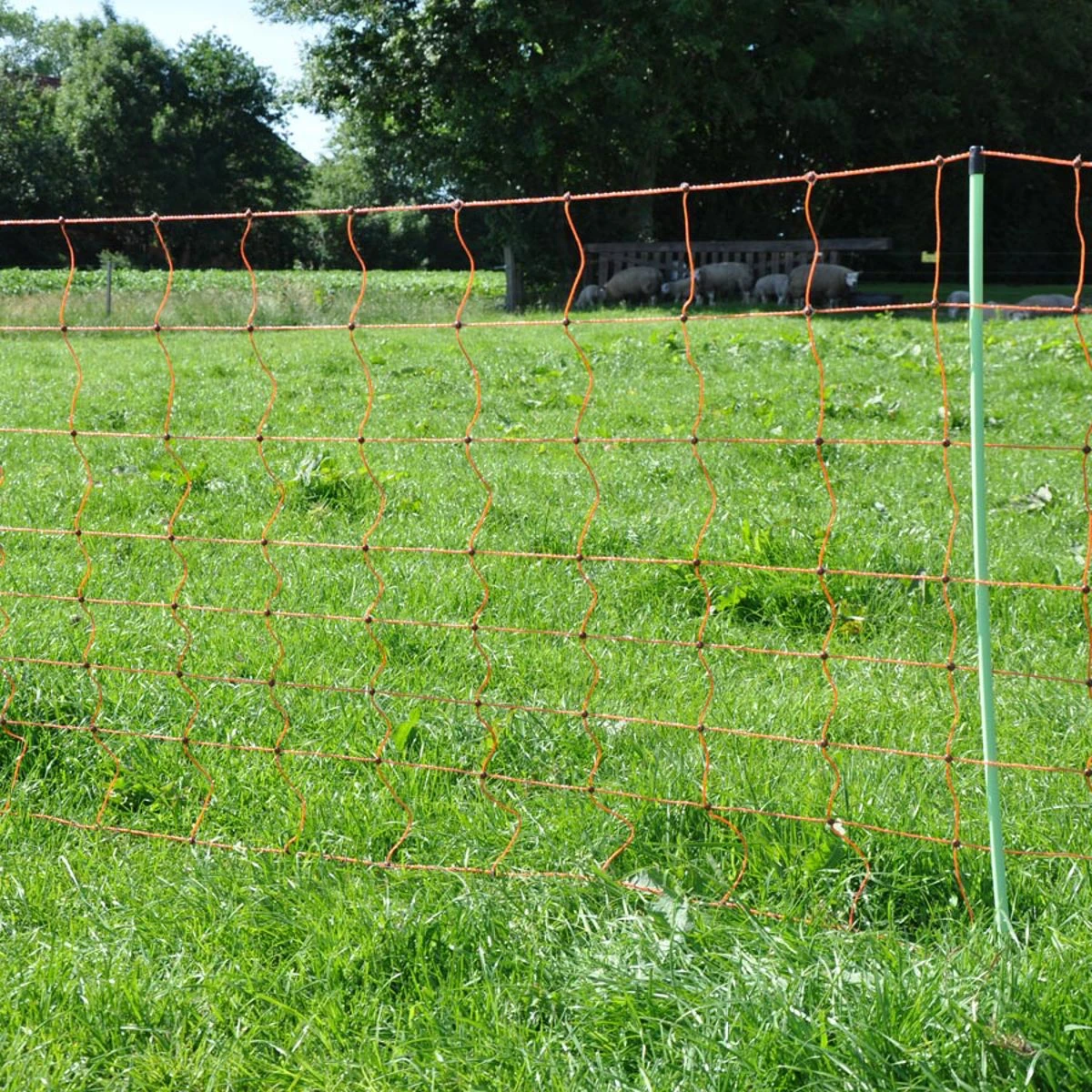 Gallagher Schapennet, Oranje 90/2 - 14/g 5 Gallagher Schapennet, Oranje 90/2 - 14/g - Afbeelding 5