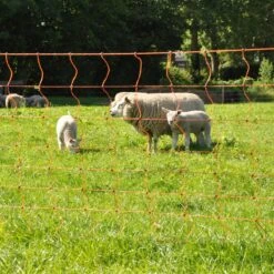 Gallagher Schapennet, Oranje 90/2 - 14/g 17 Gallagher Schapennet, Oranje 90/2 - 14/g -Silky || KWB || Spax Verkoop 022175 9 GALLAGHER