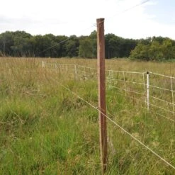 Gallagher Bevestigingsdraadje Lang (1000 -Silky || KWB || Spax Verkoop 024704 4 GALLAGHER