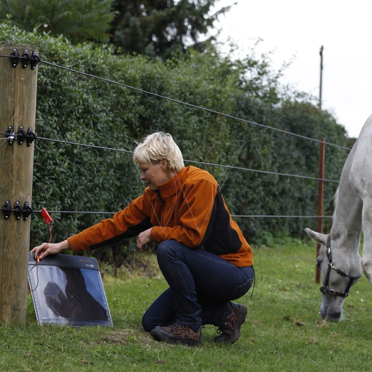 Gallagher S50 Exclusief Batterij (12v - 2 Gallagher S50 Exclusief Batterij (12v - - Afbeelding 2