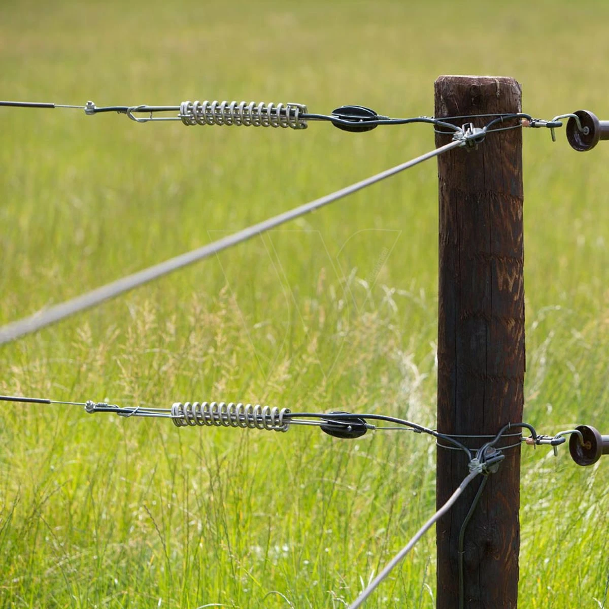 Gallagher Trekveer 2,5mm/2,65mm Draad 6 Gallagher Trekveer 2,5mm/2,65mm Draad - Afbeelding 6