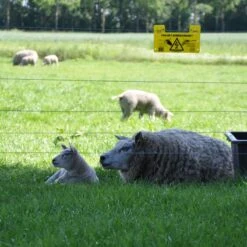 Gallagher Gealuminiseerd Draad Ht 2,5mm 9 Gallagher Gealuminiseerd Draad Ht 2,5mm -Silky || KWB || Spax Verkoop 039999 5 GALLAGHER