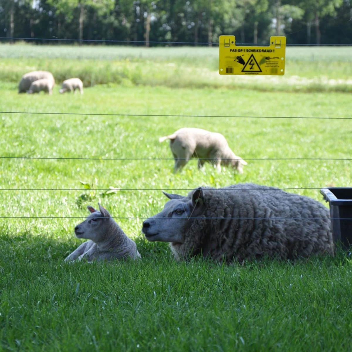 Gallagher Gealuminiseerd Draad Ht 2,5mm 4 Gallagher Gealuminiseerd Draad Ht 2,5mm - Afbeelding 4