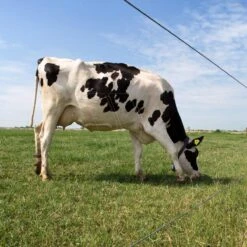 Gallagher Gealuminiseerd Draad Ht 2,5mm 10 Gallagher Gealuminiseerd Draad Ht 2,5mm -Silky || KWB || Spax Verkoop 039999 6 GALLAGHER