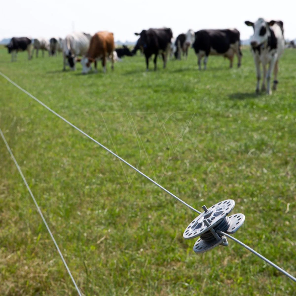 Gallagher Gealuminiseerd Draad Ht 2,5mm 6 Gallagher Gealuminiseerd Draad Ht 2,5mm - Afbeelding 6