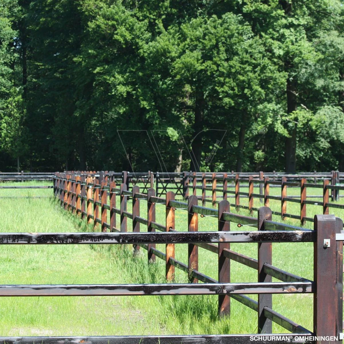 Gallagher Afstandschroefisolator Xdi Hou 6 Gallagher Afstandschroefisolator Xdi Hou - Afbeelding 6