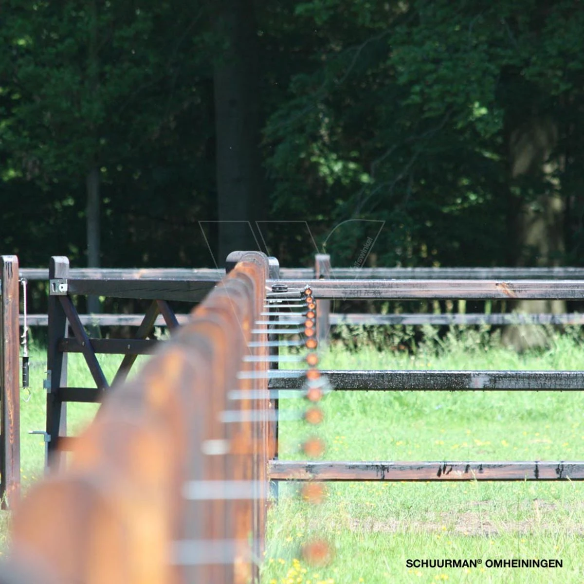 Gallagher Afstandschroefisolator Xdi Hou 8 Gallagher Afstandschroefisolator Xdi Hou - Afbeelding 8