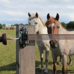 Gallagher Turboline Hoekisolator (30) -Silky || KWB || Spax Verkoop 043880 4 GALLAGHER