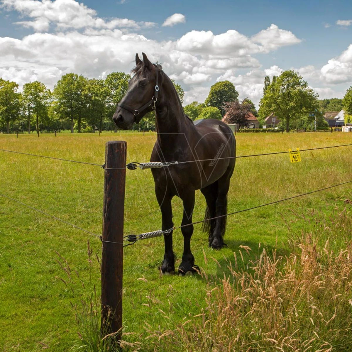 Gallagher Permanentkabel Terra 7,5mm/2,5 5 Gallagher Permanentkabel Terra 7,5mm/2,5 - Afbeelding 5