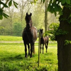 Gallagher Permanentkabel Terra 7,5mm/2,5 12 Gallagher Permanentkabel Terra 7,5mm/2,5 -Silky || KWB || Spax Verkoop 053858 6 GALLAGHER