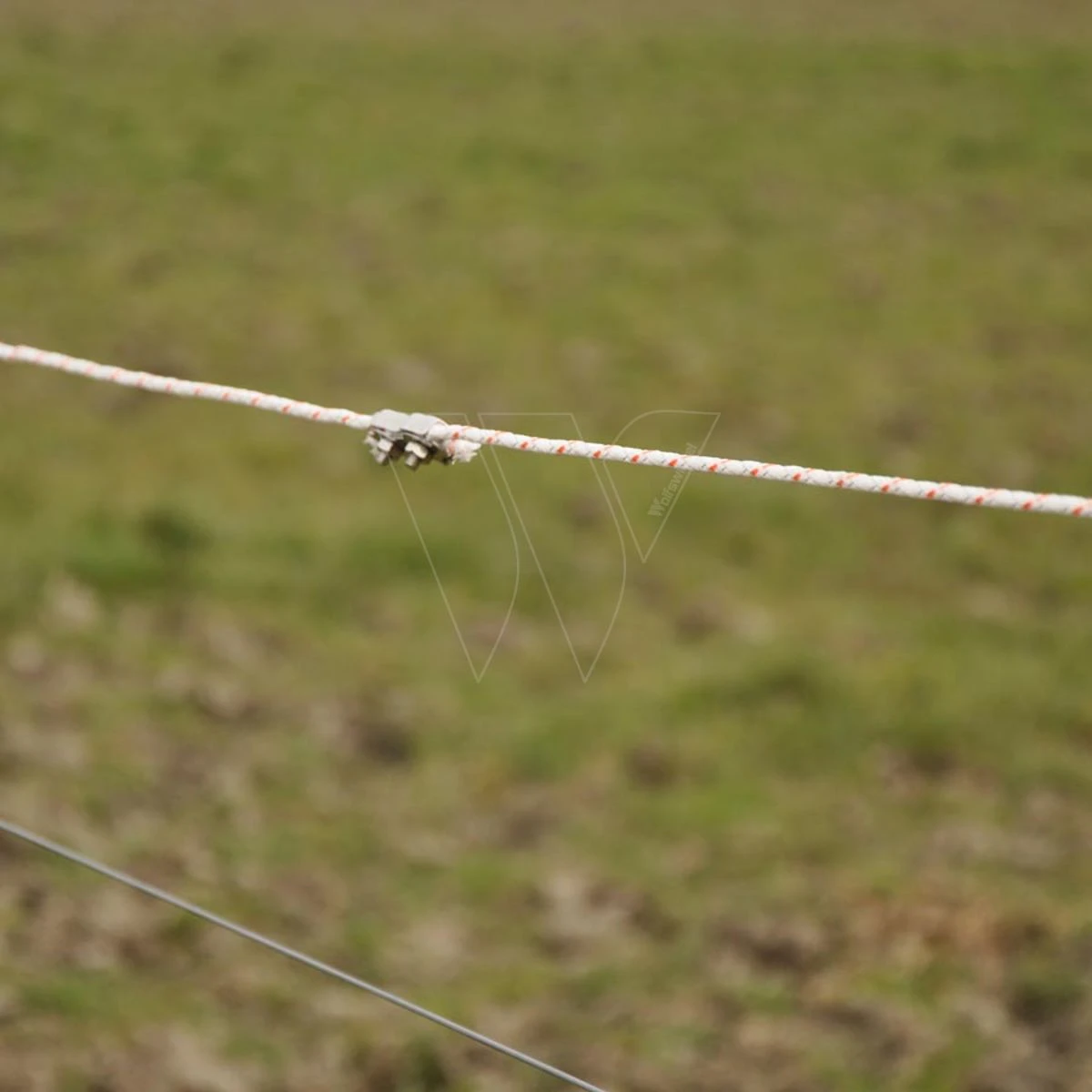 Gallagher Turboline Cord Wit 500m 5 Gallagher Turboline Cord Wit 500m - Afbeelding 5