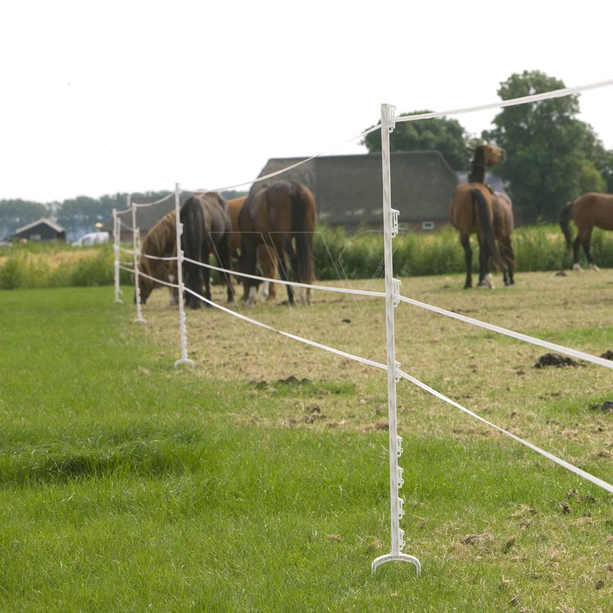 Gallagher Duopack Stijgbeugelpaal 1,55m 4 Gallagher Duopack Stijgbeugelpaal 1,55m - Afbeelding 4