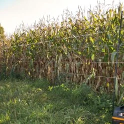 Gallagher Hertenpaal Kunststof 1,70m Zwa -Silky || KWB || Spax Verkoop 063475 3 GALLAGHER