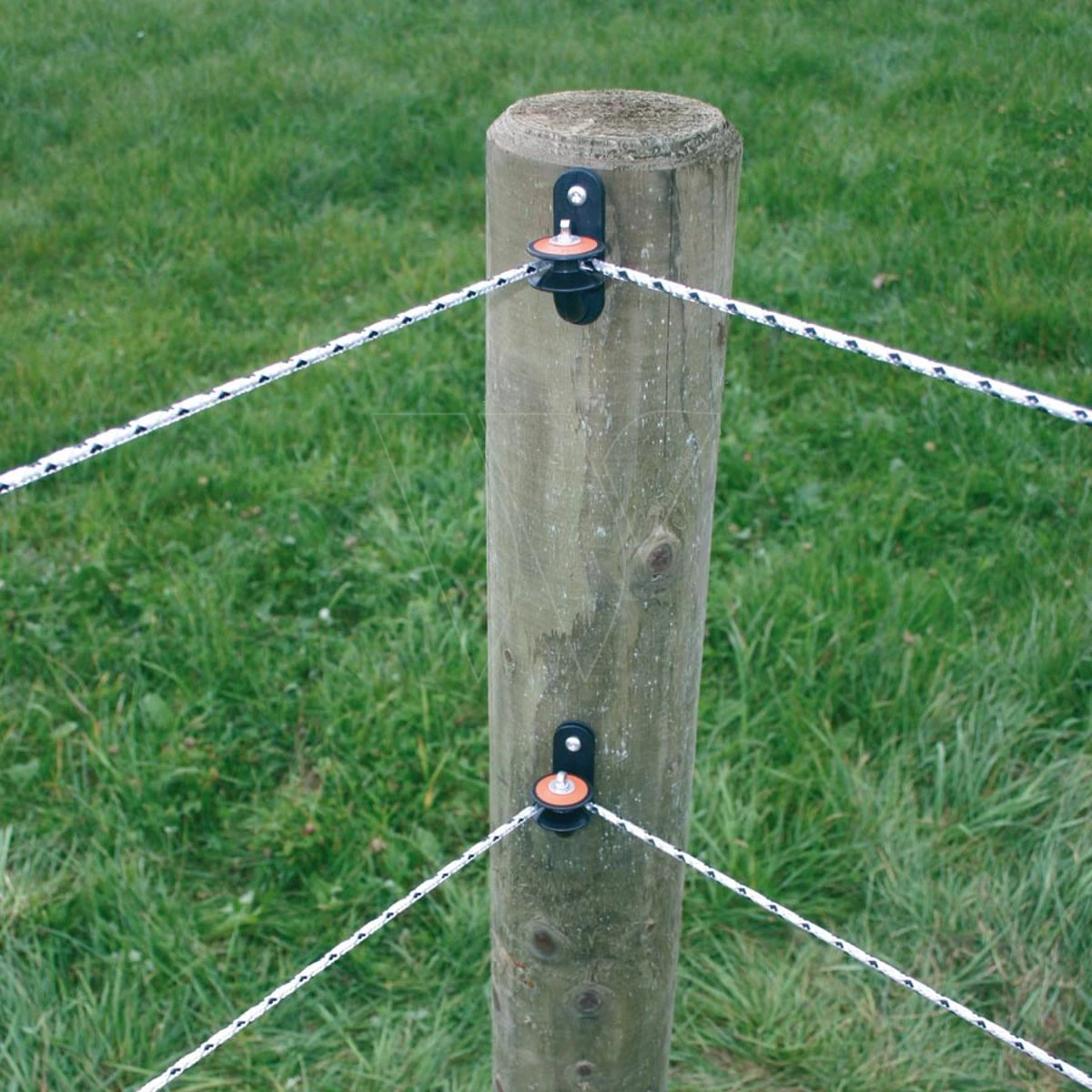 Gallagher Powerline Cord Wit 200m 5 Gallagher Powerline Cord Wit 200m - Afbeelding 5