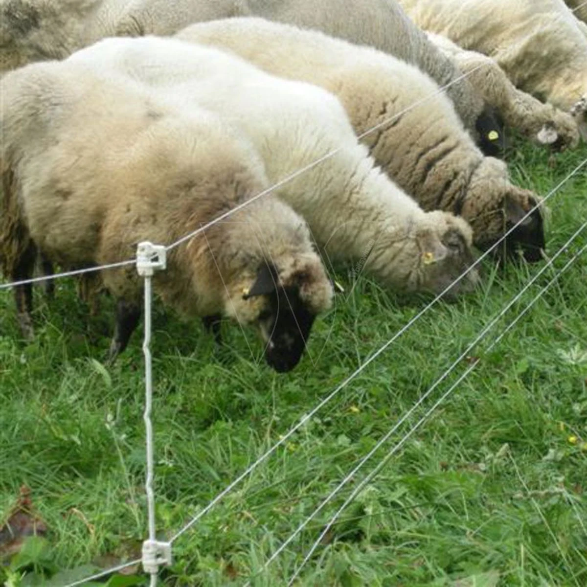 Gallagher Quattro Paal 1,00m (10) 2 Gallagher Quattro Paal 1,00m (10) - Afbeelding 2