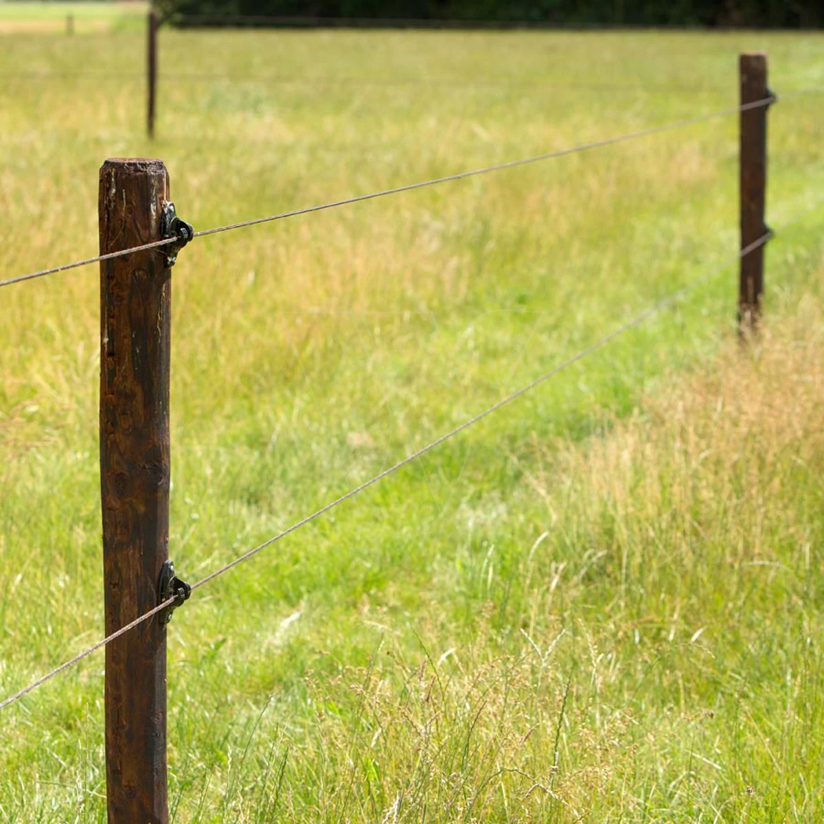 Gallagher W-isolator Zwart, Super (25) 3 Gallagher W-isolator Zwart, Super (25) - Afbeelding 3