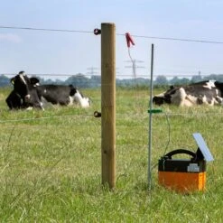 Gallagher B40 Inclusief 4w Solar Assist -Silky || KWB || Spax Verkoop 068579 4 GALLAGHER