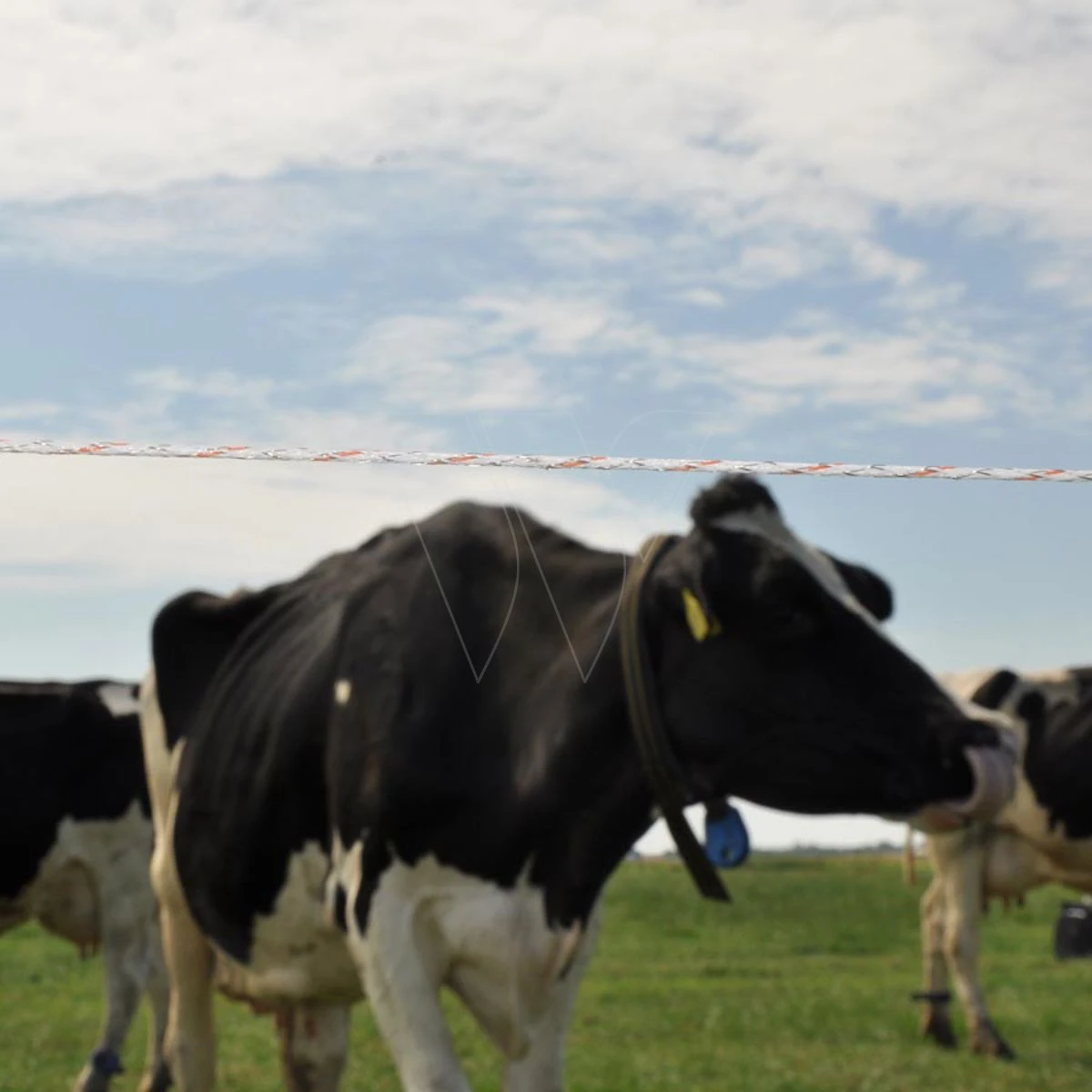 Gallagher Duopack Vidoflex 9 Turboline P 3 Gallagher Duopack Vidoflex 9 Turboline P - Afbeelding 3