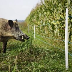 Gallagher Kunstofdraad Blauw 400m -Silky || KWB || Spax Verkoop 075829 4 GALLAGHER