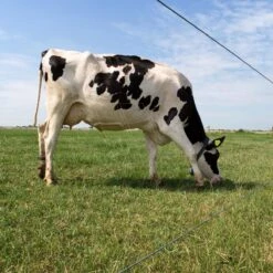 Gallagher Gealuminiseerd Draad Ht 1,8mm -Silky || KWB || Spax Verkoop 077311 5 GALLAGHER