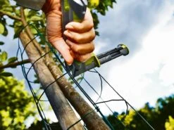 Rapid Fp222 Hekwerktang / Ringtang T&f -Silky || KWB || Spax Verkoop 23468100 3 RAPID20FR22220HEKWERKTANG2020RINGTANG20TF