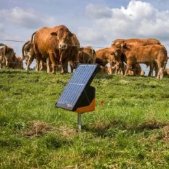 Gallagher S200 (12v - 2,0 J) Incl 2 Bat. 9 Gallagher S200 (12v - 2,0 J) Incl 2 Bat. -Silky || KWB || Spax Verkoop 360300 6 GALLAGHER