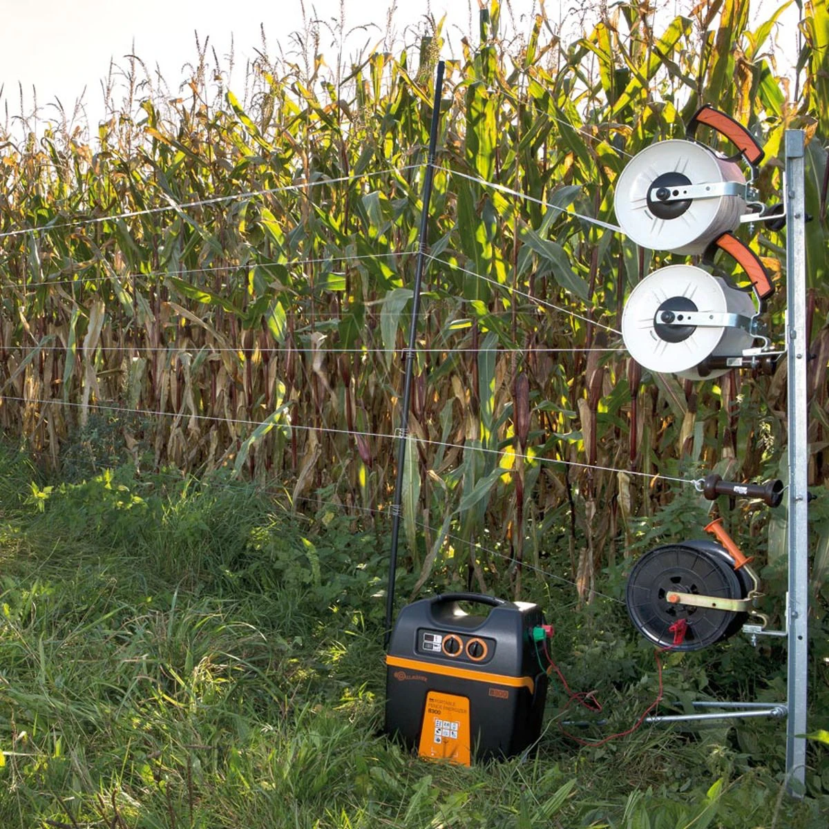 Gallagher B300 (12v - 2,6 J) 5 Gallagher B300 (12v - 2,6 J) - Afbeelding 5