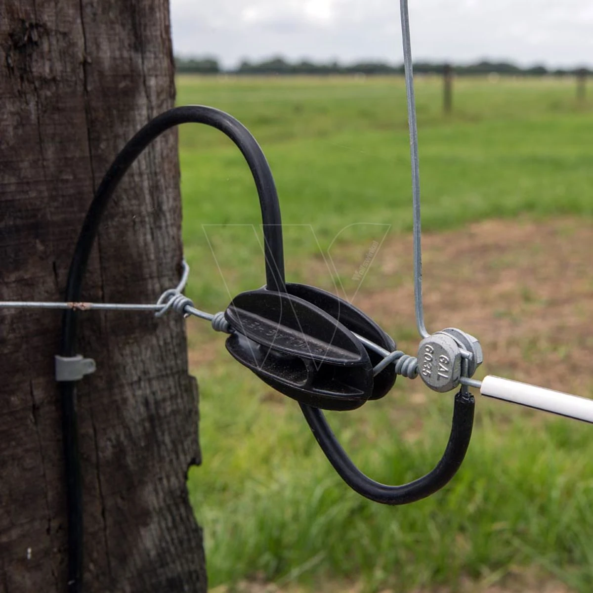 Gallagher Draadklem Rond (100) 3 Gallagher Draadklem Rond (100) - Afbeelding 3