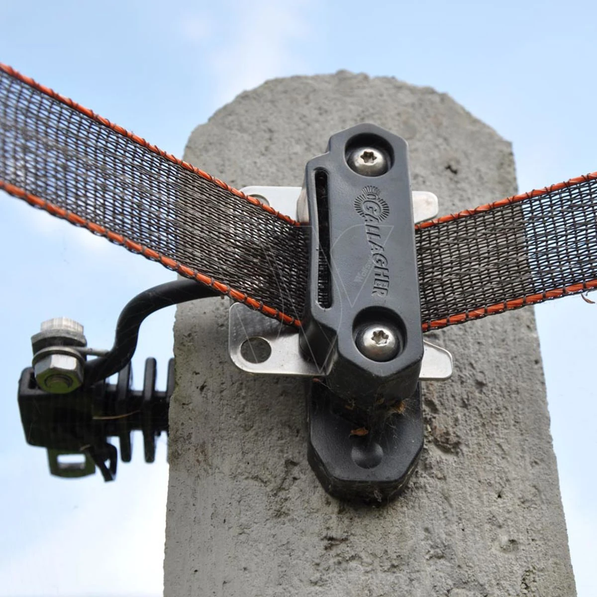 Gallagher Tussenplaatje Turboline Paarde 7 Gallagher Tussenplaatje Turboline Paarde - Afbeelding 7