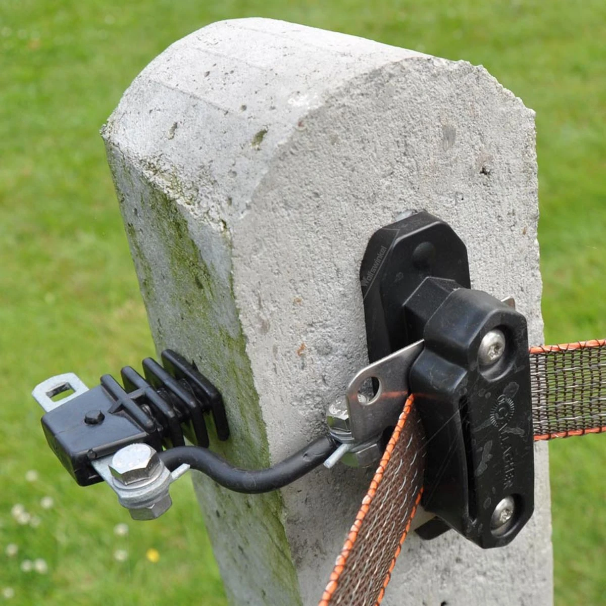 Gallagher Tussenplaatje Turboline Paarde 8 Gallagher Tussenplaatje Turboline Paarde - Afbeelding 8