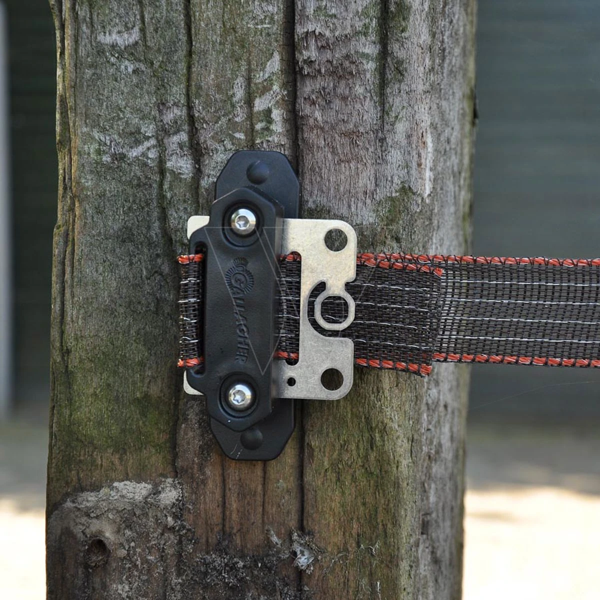 Gallagher Tussenplaatje Turboline Paarde 10 Gallagher Tussenplaatje Turboline Paarde - Afbeelding 10