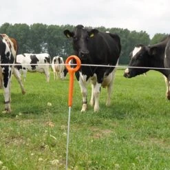 Gallagher Ring Top Paal 1,00m (10) -Silky || KWB || Spax Verkoop 723136 3 GALLAGHER