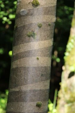 Poly-net 100m X 15cm Boombeschermer