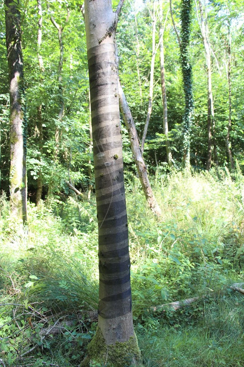 Poly-net 100m X 15cm Boombeschermer 2 Poly-net 100m X 15cm Boombeschermer - Afbeelding 2