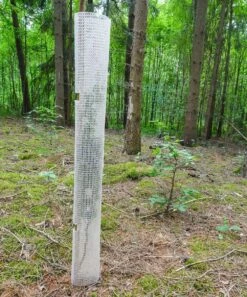 Buck Bio Groeibescherming 120cm 10ø