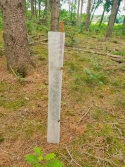 Buck Bio Groeibescherming 120cm 10ø -Silky || KWB || Spax Verkoop 73346 4 BUCK20BIO20GROEIBESCHERMING20150CM2010C398