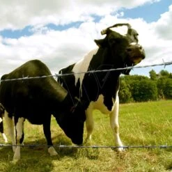 Arcelormittal Scorpio® Prikkeldraad 250m 7 Arcelormittal Scorpio® Prikkeldraad 250m -Silky || KWB || Spax Verkoop FPSV 4 ARCELORMITTAL20SCORPIO20PRIKKELDRAAD